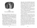 9783733506605 - Sample content