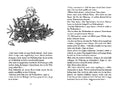 9783733508258 - Sample content