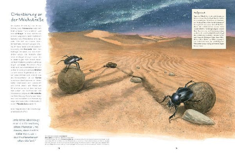 9783734860348 - Sample content