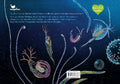 9783734860676 - Back cover