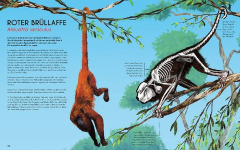 9783734860850 - Sample content