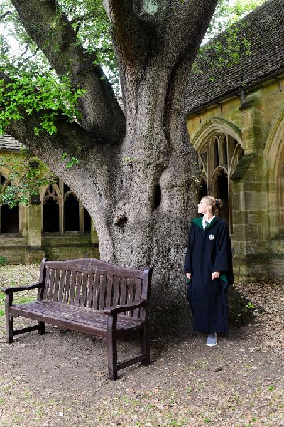 9783735891600 - Sample content