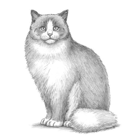 9783735891655 - Sample content