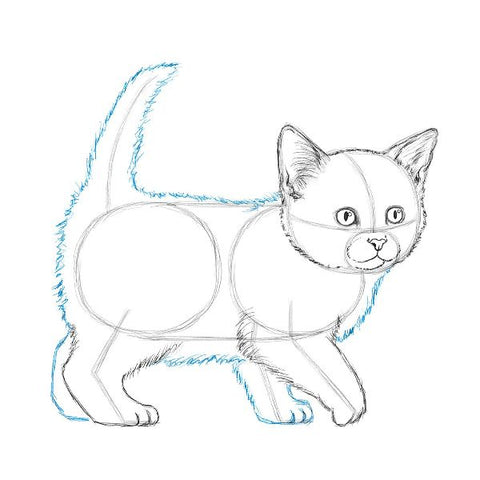 9783735891655 - Sample content