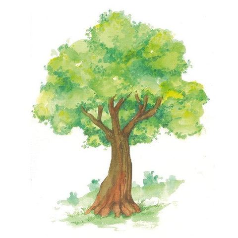 9783735892010 - Sample content