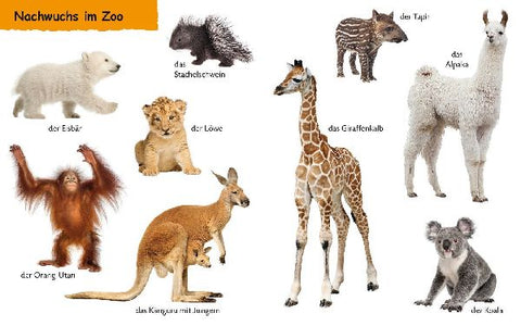 9783737334303 - Sample content