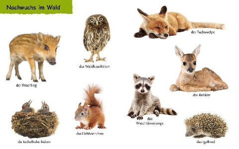 9783737334310 - Sample content