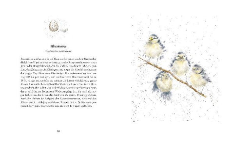 9783737355261 - Sample content