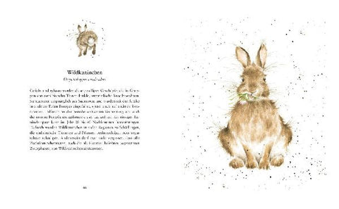 9783737355278 - Sample content