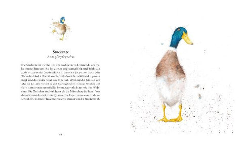 9783737355278 - Sample content