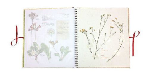 9783737355285 - Sample content