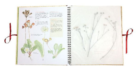 9783737355285 - Sample content