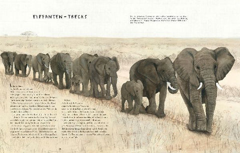 9783737355995 - Sample content