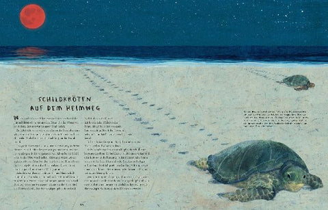 9783737355995 - Sample content