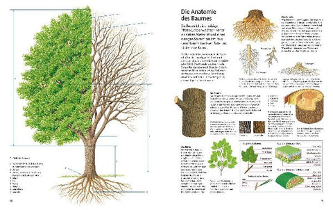 9783737356459 - Sample content