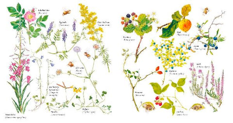 9783737358385 - Sample content