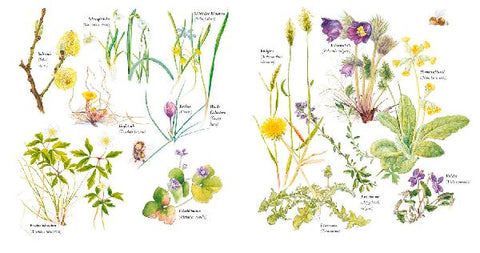 9783737358385 - Sample content