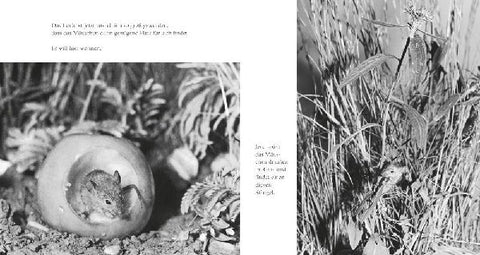 9783737358965 - Sample content