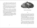 9783737372596 - Sample content