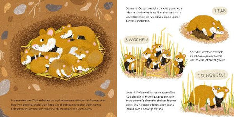 9783737373166 - Sample content