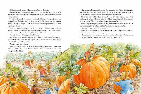 9783737374064 - Sample content