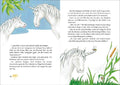 9783743200890 - Sample content