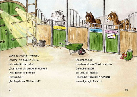 9783743202405 - Sample content