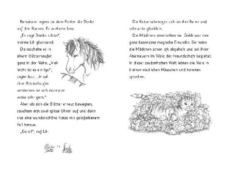 9783743205611 - Sample content