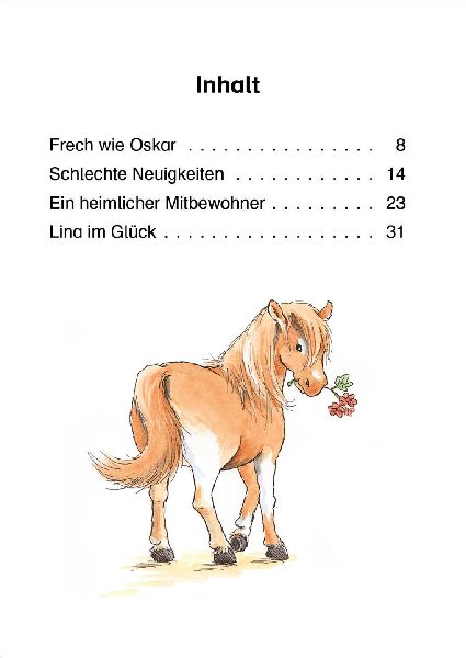 9783743208599 - Sample content