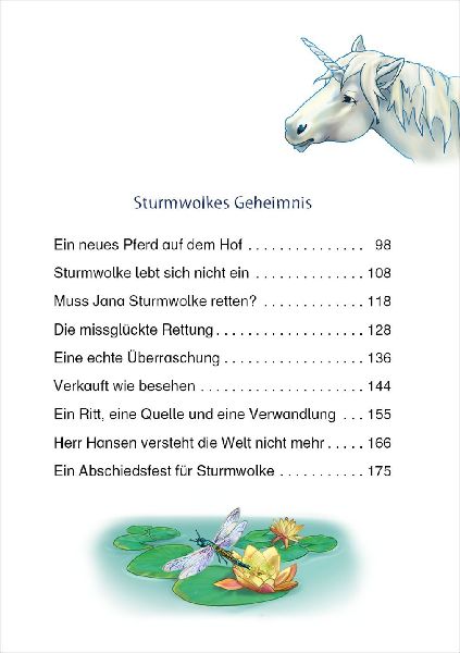 9783743208667 - Sample content