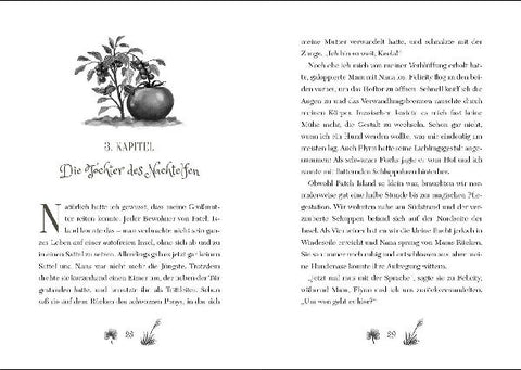 9783743209534 - Sample content