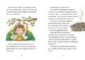 9783743211964 - Sample content