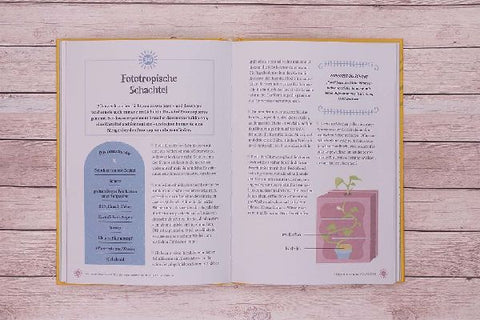 9783743211995 - Sample content