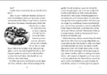 9783743214064 - Sample content