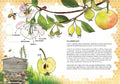 9783743214514 - Sample content