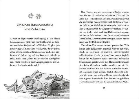 9783743215115 - Sample content