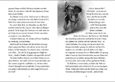 9783743215375 - Sample content