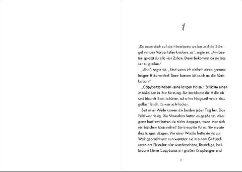 9783743215382 - Sample content