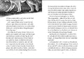 9783743217140 - Sample content