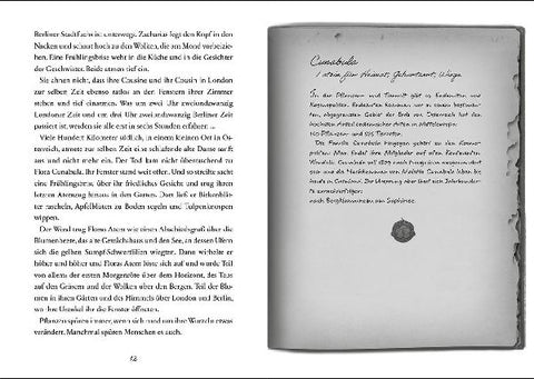 9783743217508 - Sample content