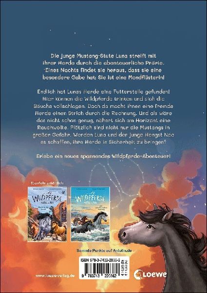 9783743220362 - Back cover