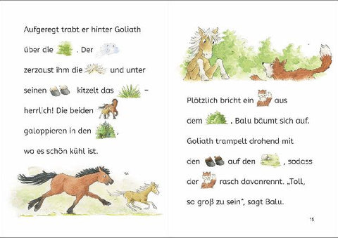 9783743221192 - Sample content