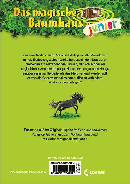 9783743223011 - Sample content