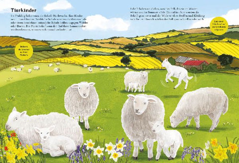 9783745900002 - Sample content