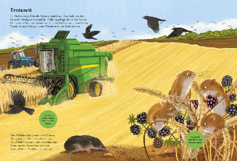 9783745900002 - Sample content