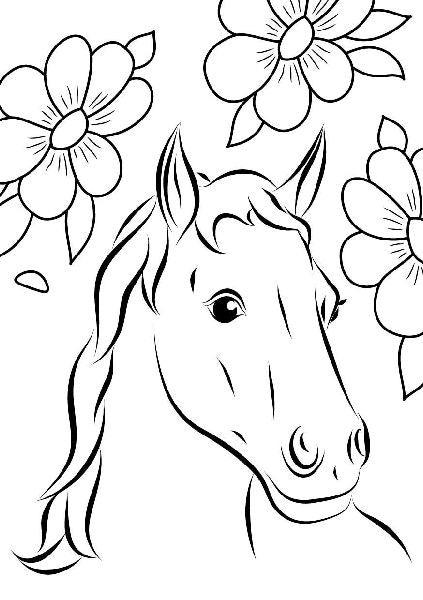 9783745922547 - Sample content