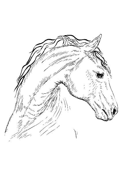 9783745922547 - Sample content