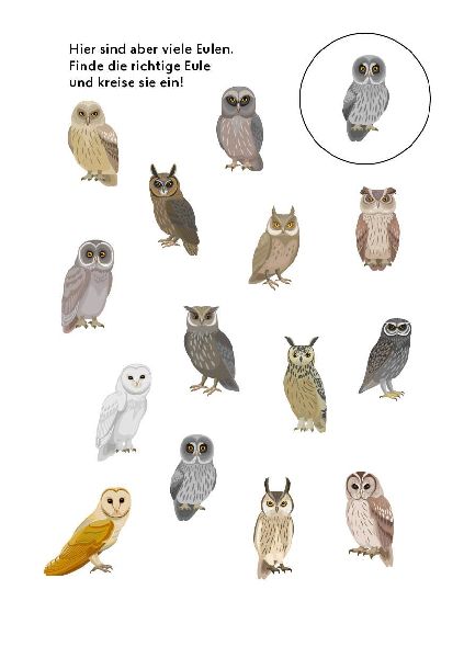 9783745927542 - Sample content