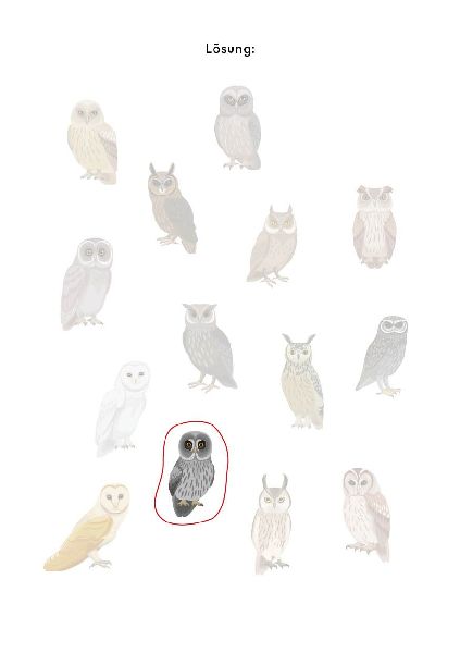 9783745927542 - Sample content