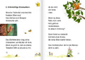 9783751202923 - Sample content
